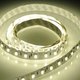 LED strip 5050, IP65, 60LED, day white, LUX